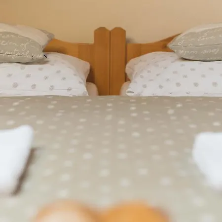 Apartmán U Sjezdovky